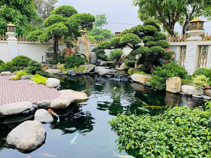 Mãn nhãn với mẫu sân vườn kết hợp tiểu cảnh hồ cá cực sống động