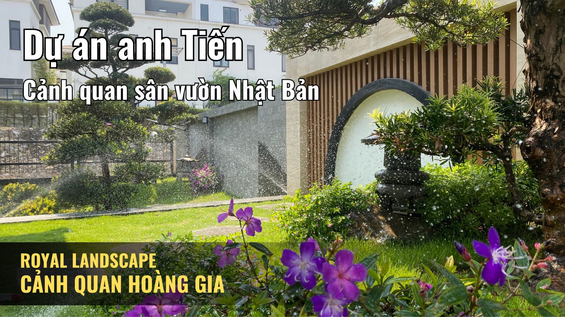 Dự án anh Tiến