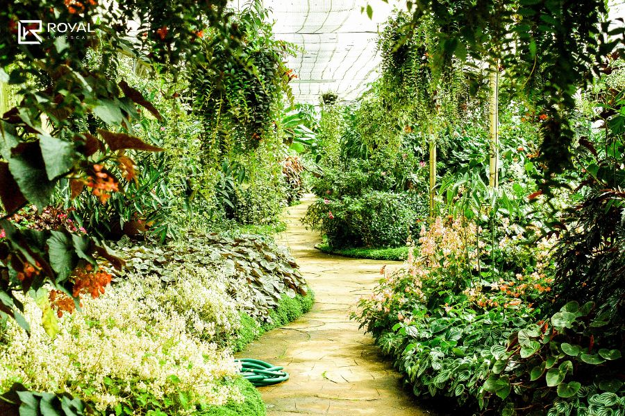 bố cục sân vườn