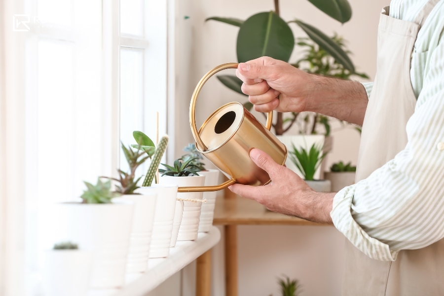 nước tưới cây cảnh